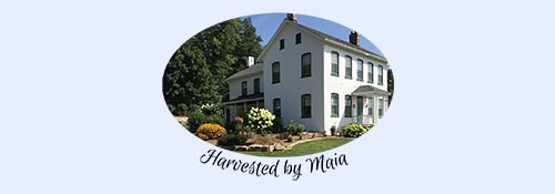 Harvested by Maia