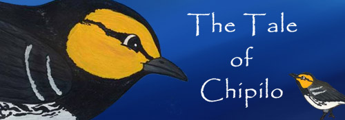Tale of Chipilo